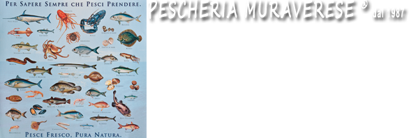 Pescheria Muraverese
